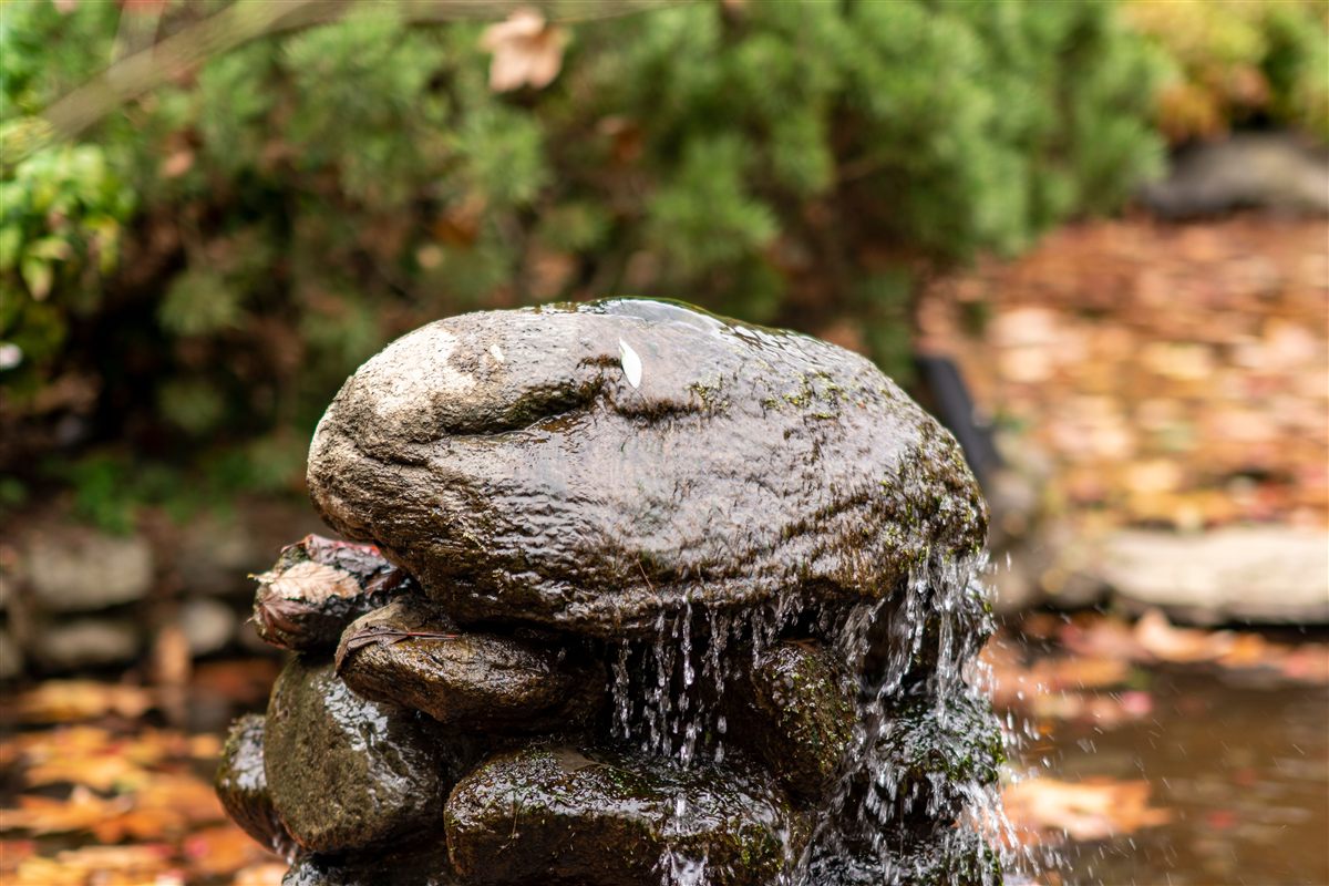 Rock-set cascading pond and waterfall fountain in a garden setting