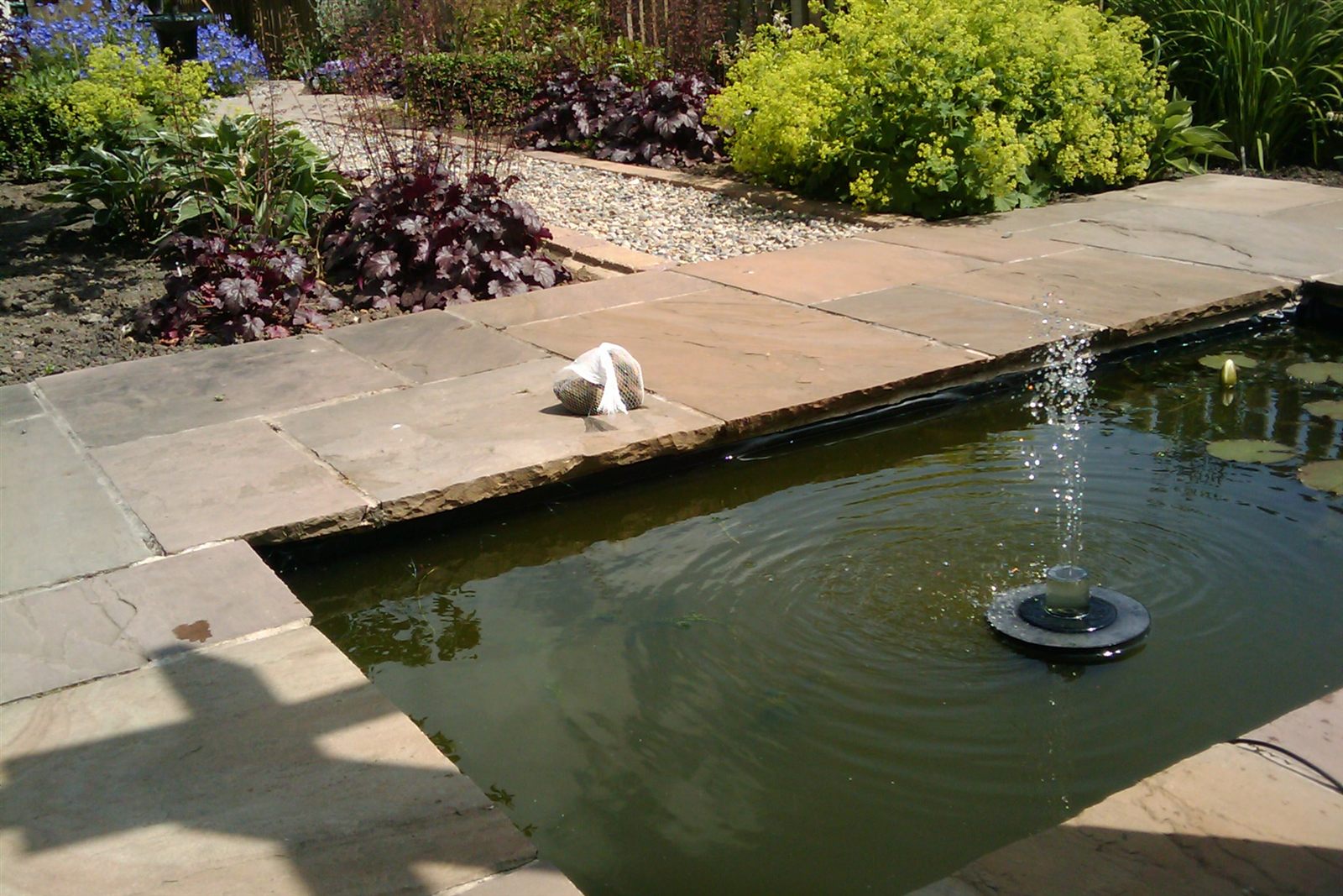 Small floating solar-powered fountain pump running in a garden pond, spray visible above the water